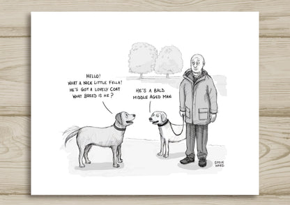 Man Walking Dog Talking